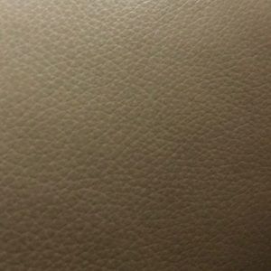 Meet your Posher, Greeshma